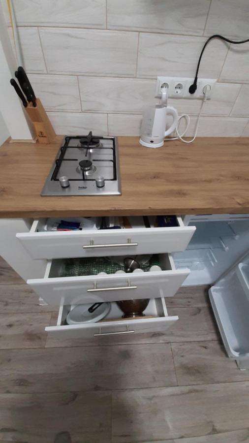 Transfer Apartament І.Franka 59 Leopoli Esterno foto